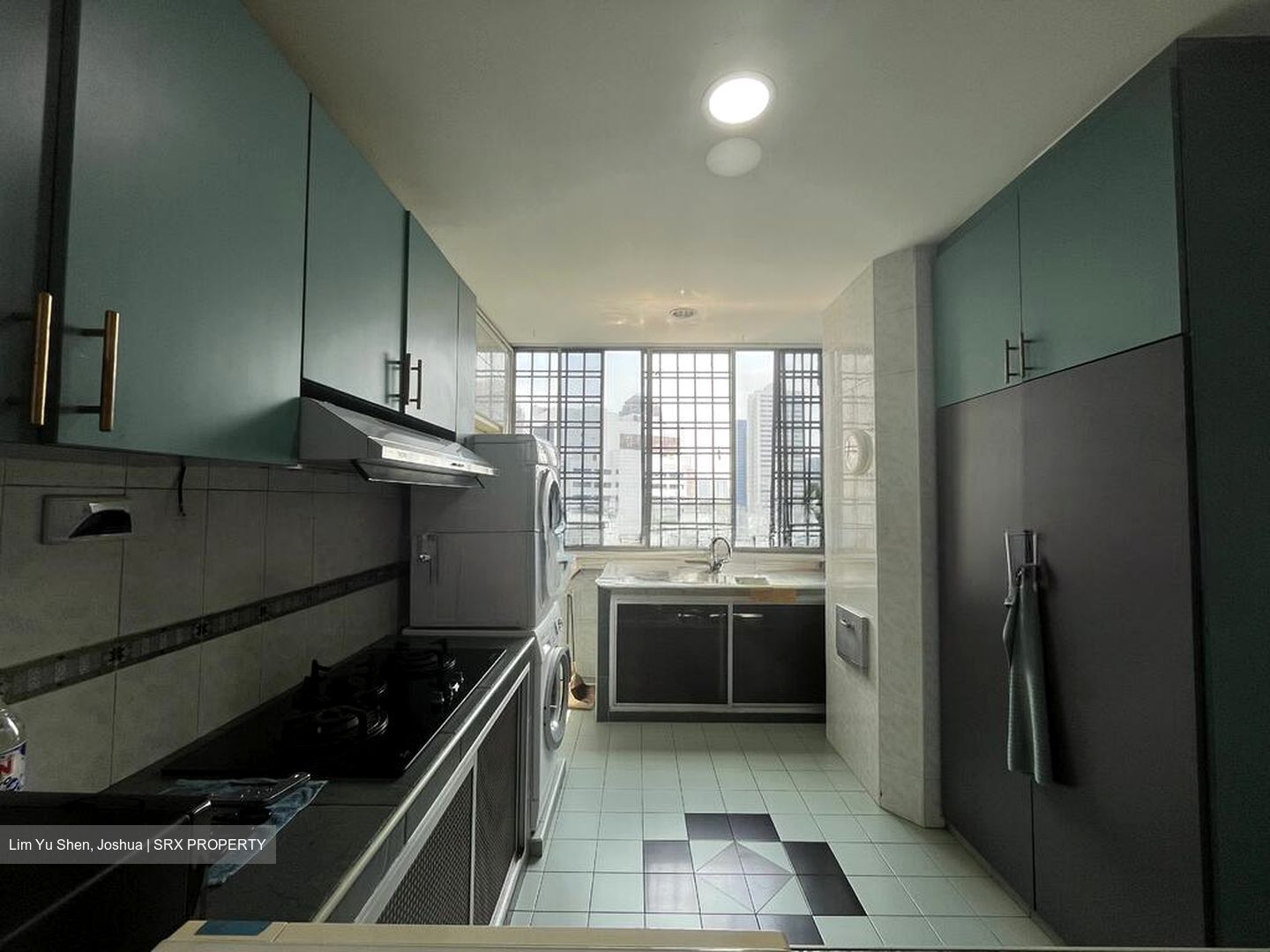 Elizabeth Tower (D9), Apartment #532644271